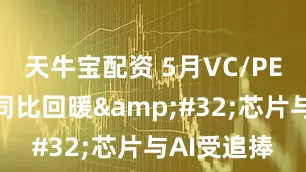 天牛宝配资 5月VC/PE募投市场同比回暖&#32;芯片与AI受追捧