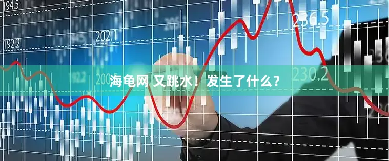 海龟网 又跳水！发生了什么？
