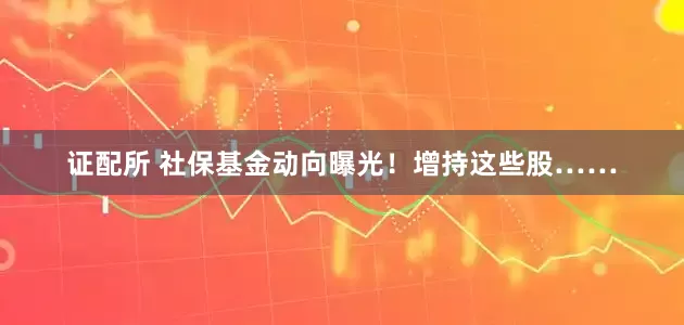 证配所 社保基金动向曝光！增持这些股……