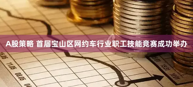 A股策略 首届宝山区网约车行业职工技能竞赛成功举办
