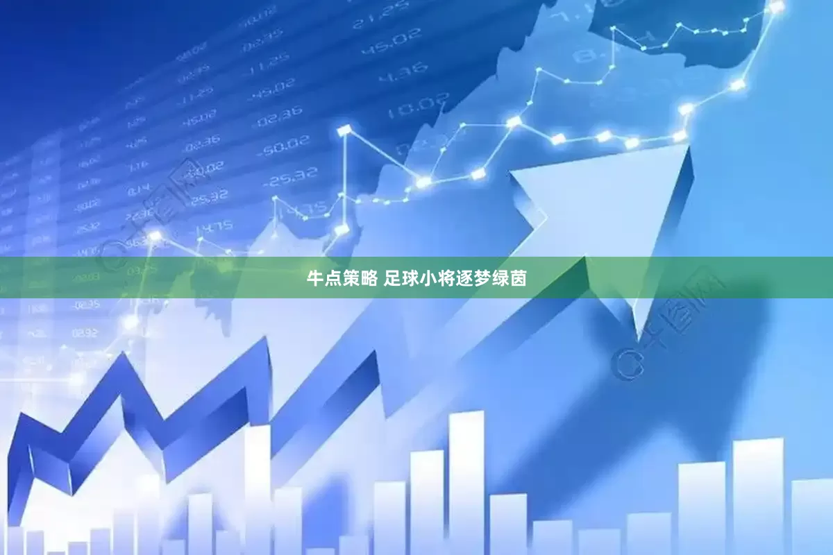 牛点策略 足球小将逐梦绿茵