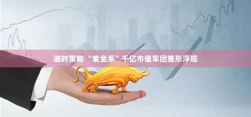 迪时策略 “紫金系”千亿市值军团雏形浮现